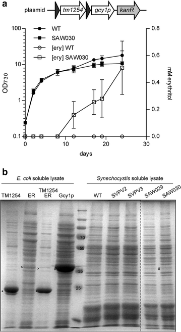 Fig. 3