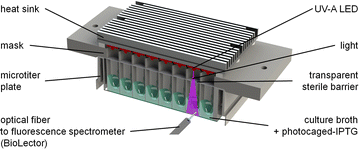 Fig. 1