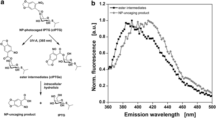 Fig. 3