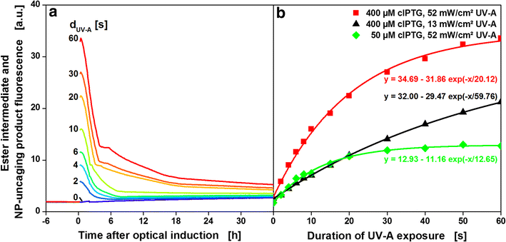 Fig. 4