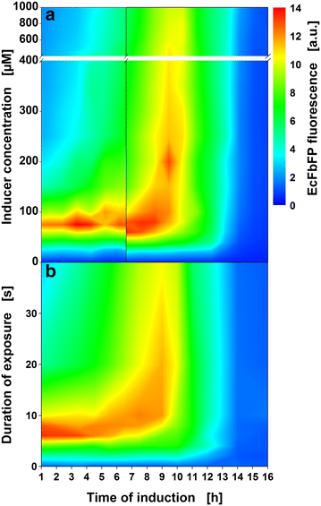 Fig. 8