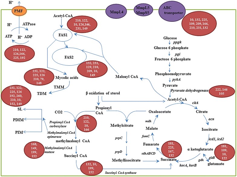 Fig. 2