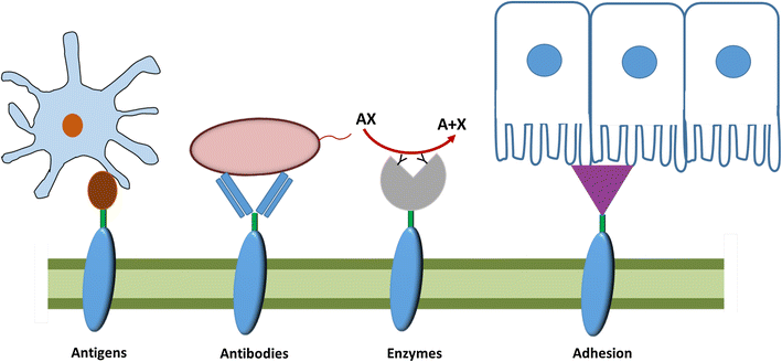 Fig. 3