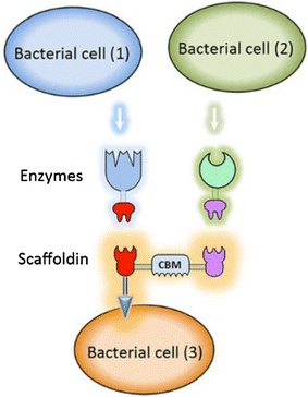 Fig. 4