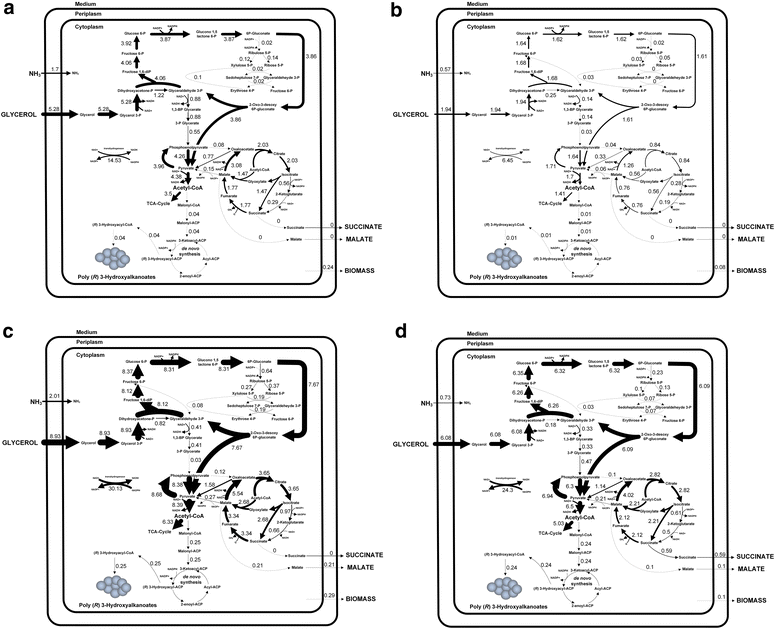 Fig. 2