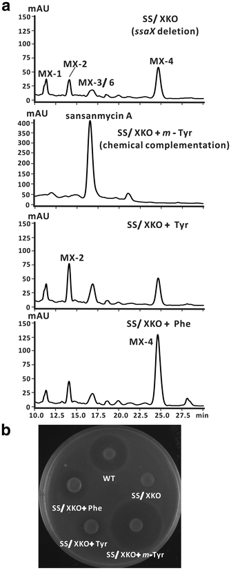 Fig. 3