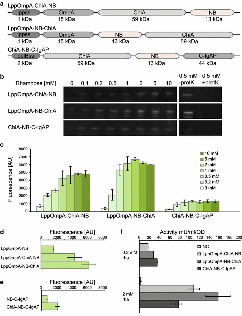 Fig. 3