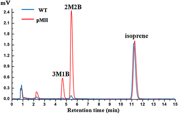 Fig. 2