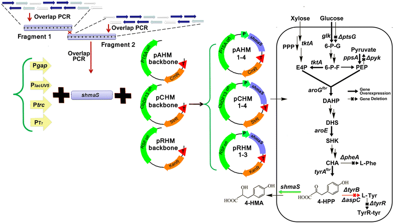 Fig. 1