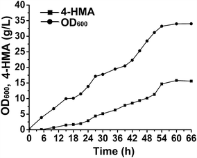 Fig. 6