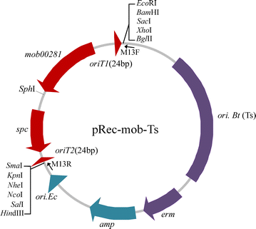 Fig. 4