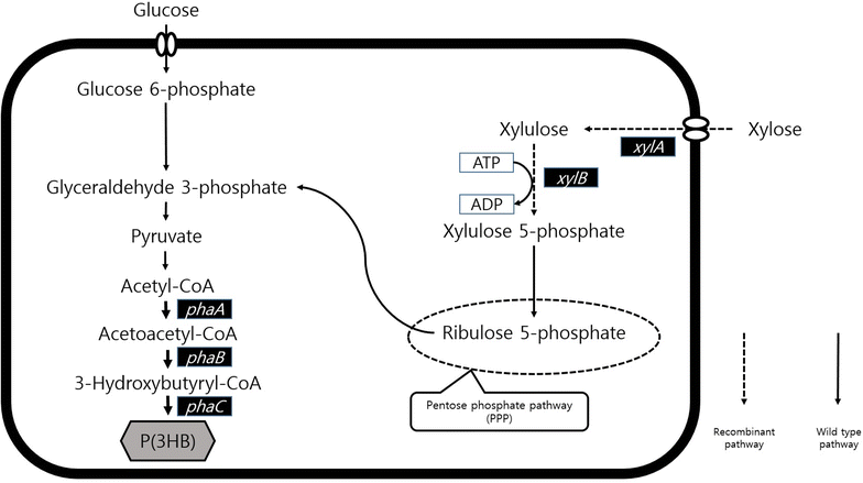 Fig. 2