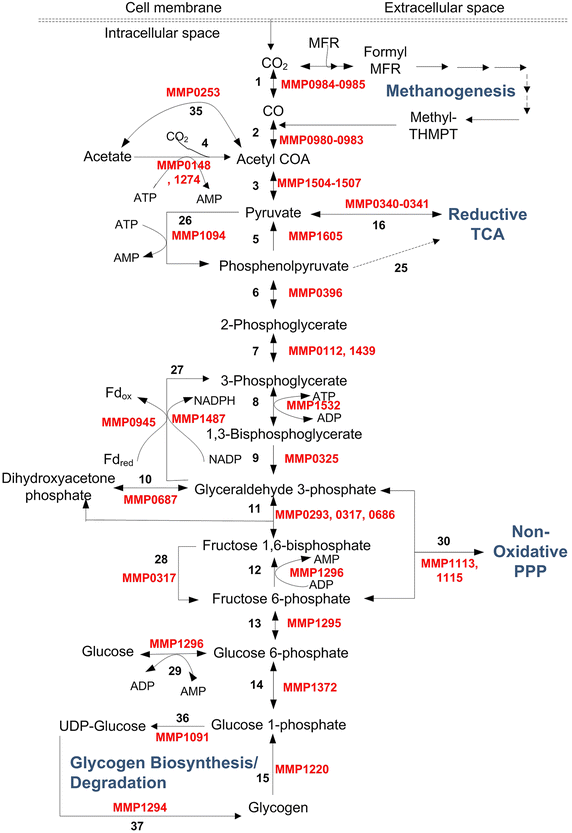 Fig. 4