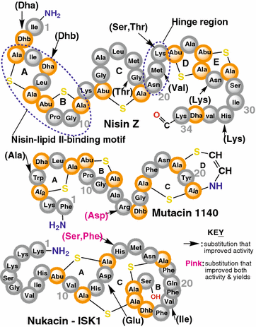 Fig. 6