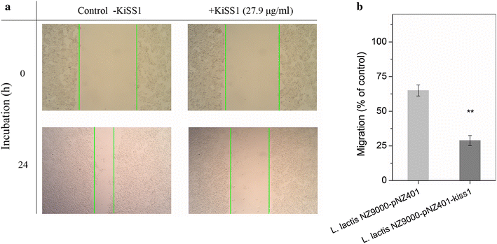 Fig. 5