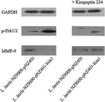 Fig. 9