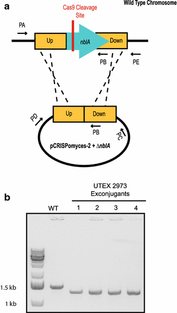 Fig. 3