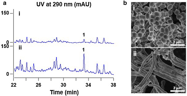 Fig. 2