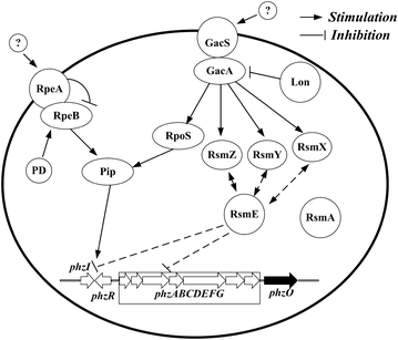 Fig. 5