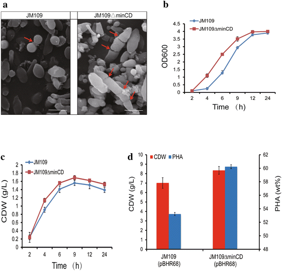 Fig. 2