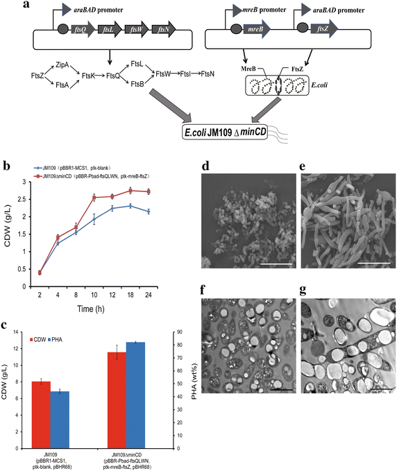 Fig. 7