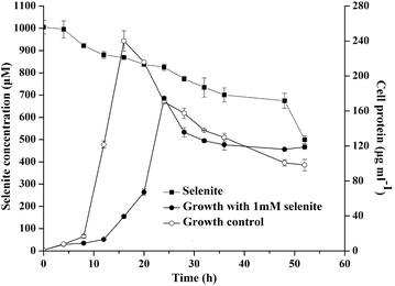 Fig. 4