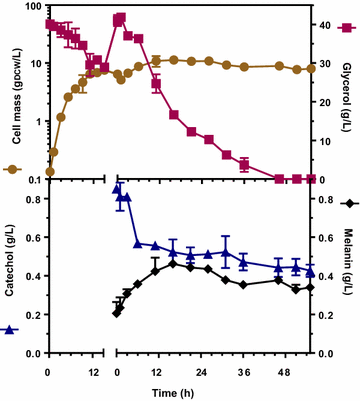 Fig. 2