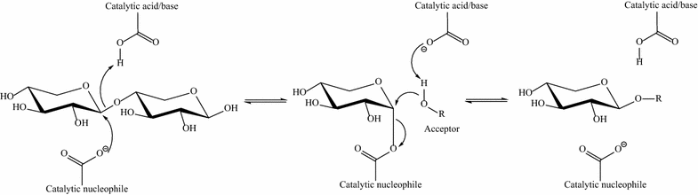 Fig. 1