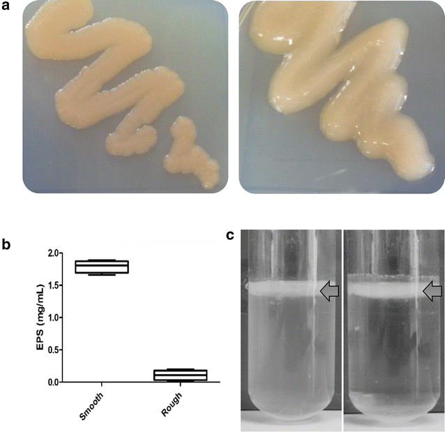 Fig. 6