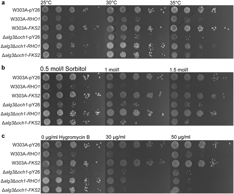 Fig. 4