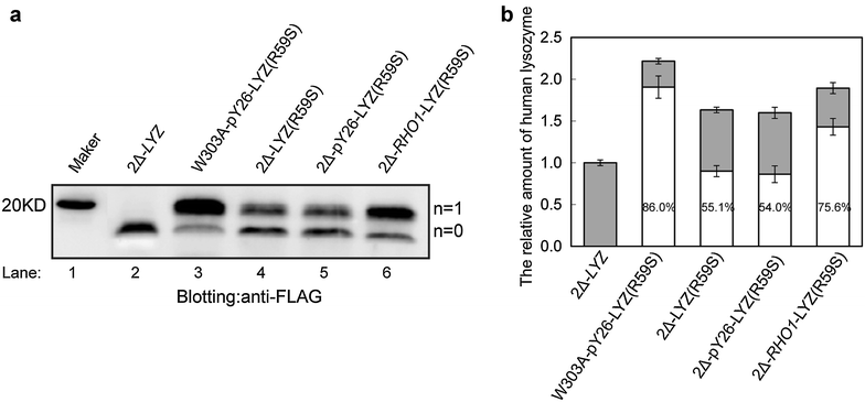 Fig. 6