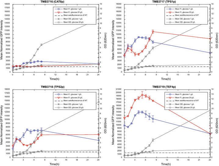 Fig. 3