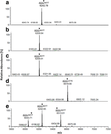 Fig. 3