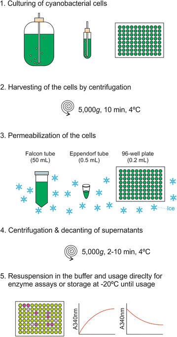 Fig. 1