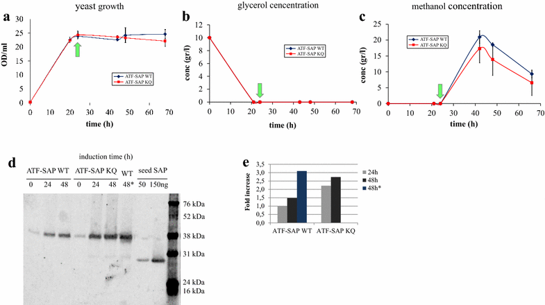 Fig. 6