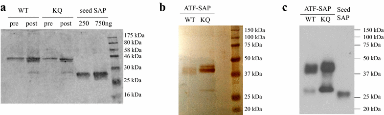 Fig. 7