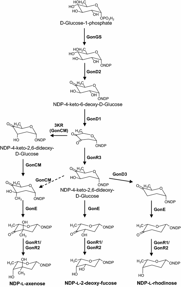 Fig. 2