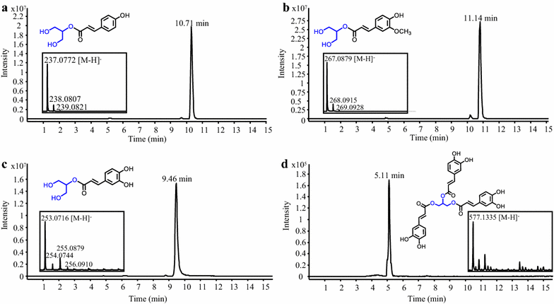 Fig. 3