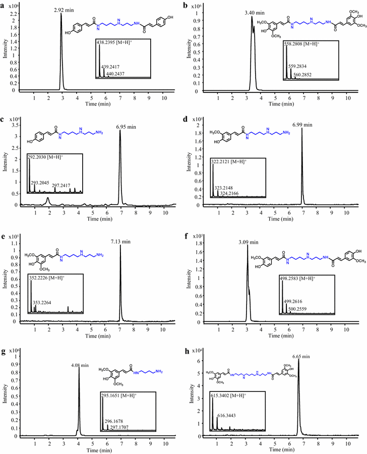 Fig. 4