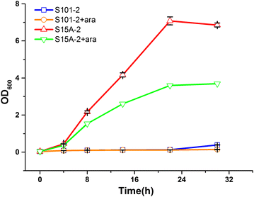 Fig. 3