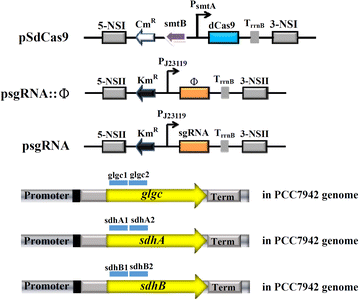 Fig. 3