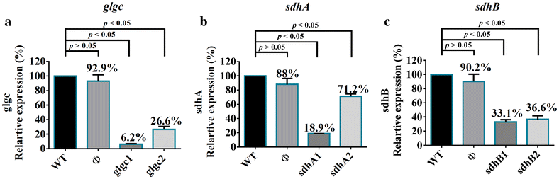 Fig. 4