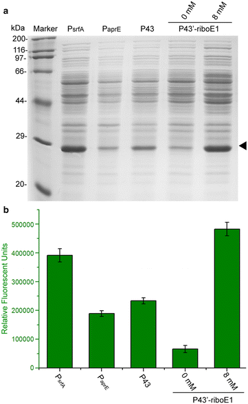 Fig. 4