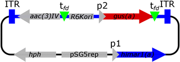 Fig. 1