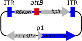 Fig. 4