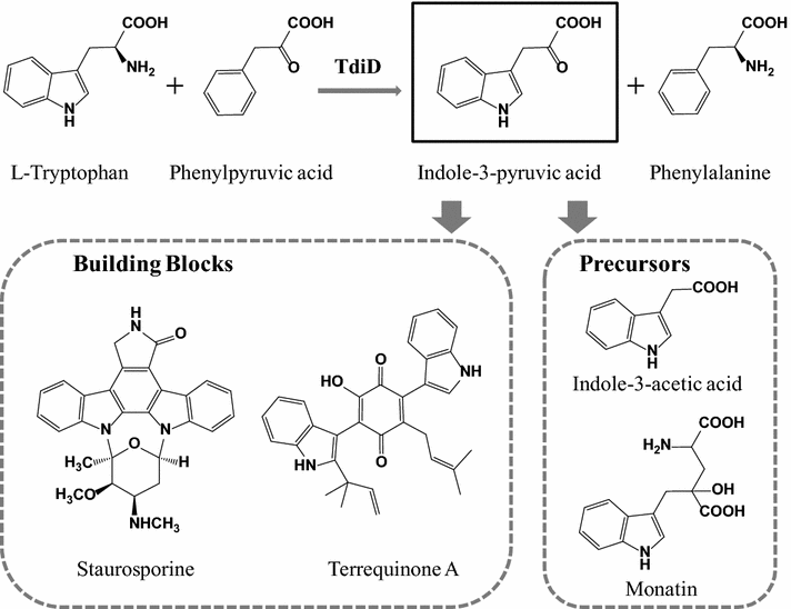 Fig. 1