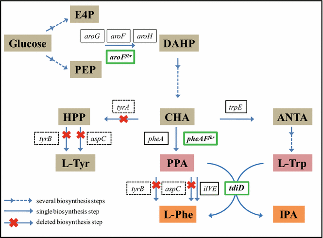 Fig. 3