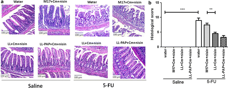 Fig. 4