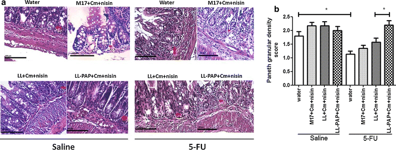 Fig. 6