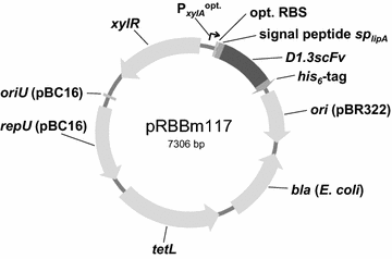 Fig. 1